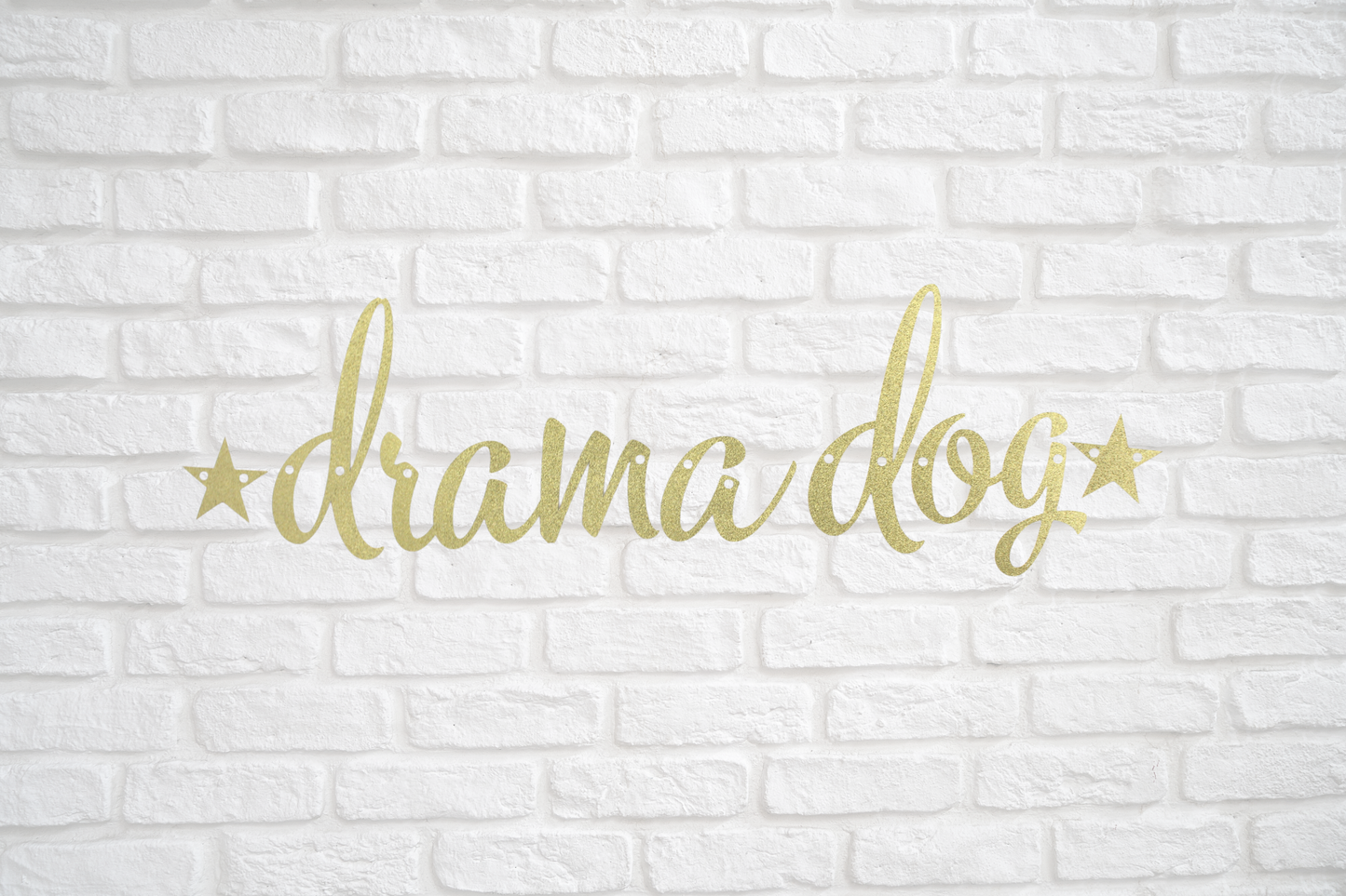 Drama Dog Banner