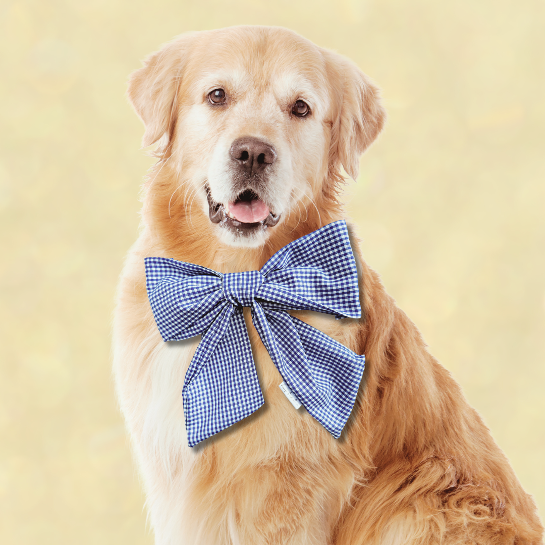 Chloe Gingham Bow