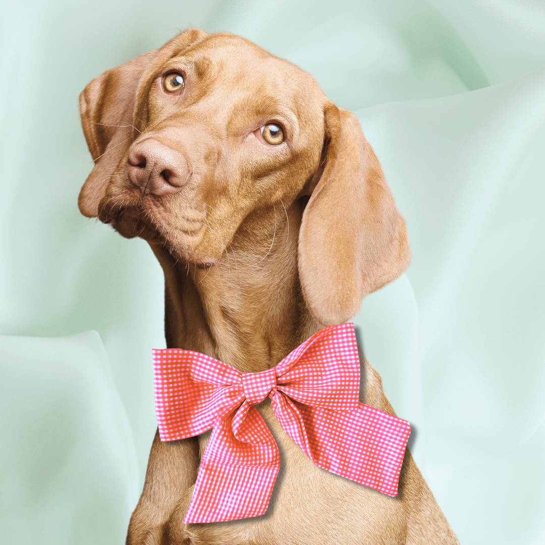 Ella Gingham Bow