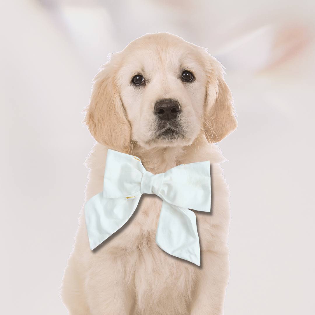Felicity Cotton Bow