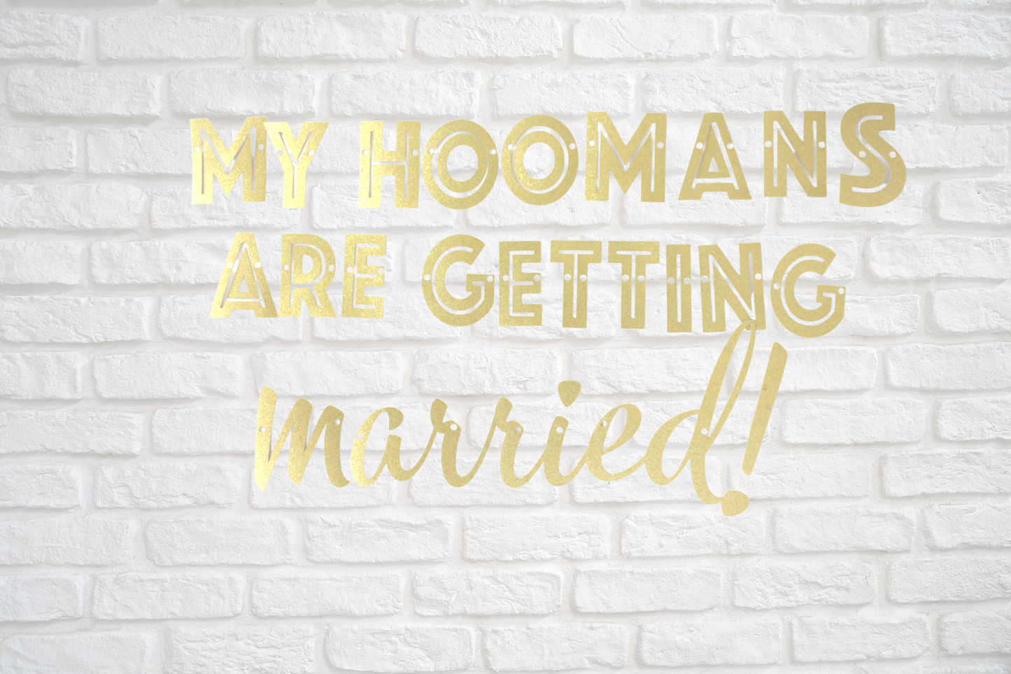 My Hoomans Are Getting Married! Banner