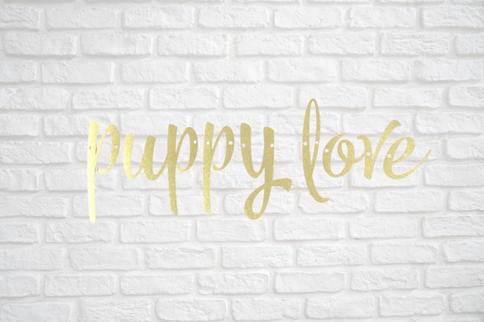 Puppy Love Banner